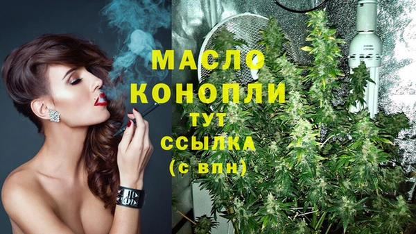 apvp Няндома