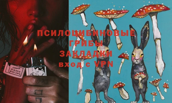таблы Новодвинск