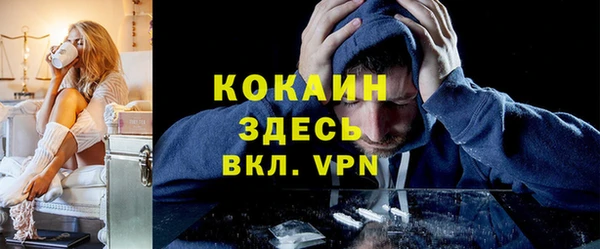 apvp Няндома