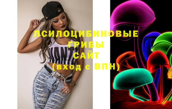 таблы Новодвинск